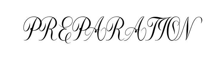 Constancia Script Bold  Free Fonts Download