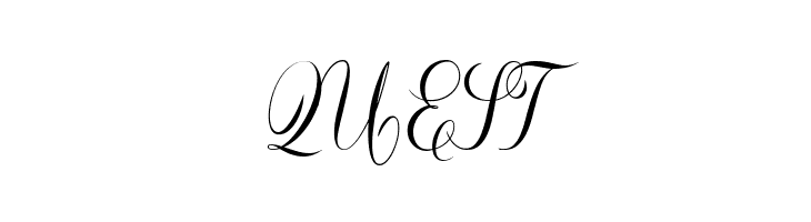 Constancia Script Bold  Free Fonts Download