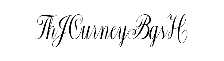 Constancia Script Bold  Free Fonts Download