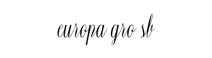 Constancia Script Bold  Free Fonts Download