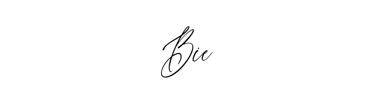Willion  Free Fonts Download