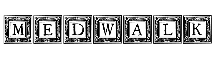 QuaNauticale_Initials_No2  Free Fonts Download