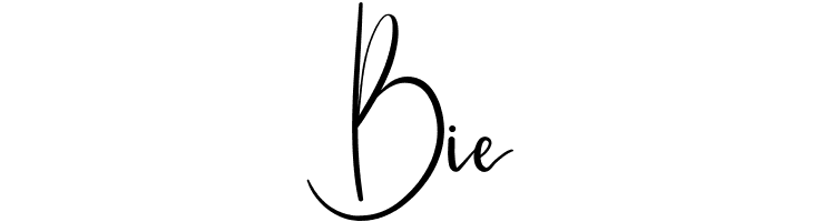 Zettama  Free Fonts Download