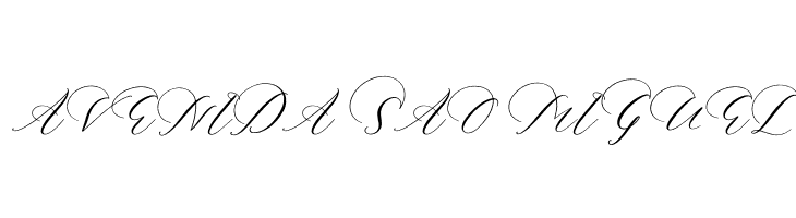 Bettilda Ristta Italic  Free Fonts Download