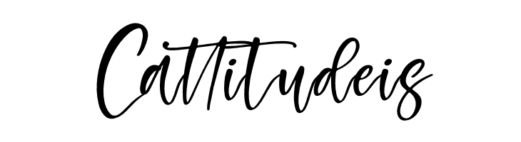 Paristime Italic  Free Fonts Download