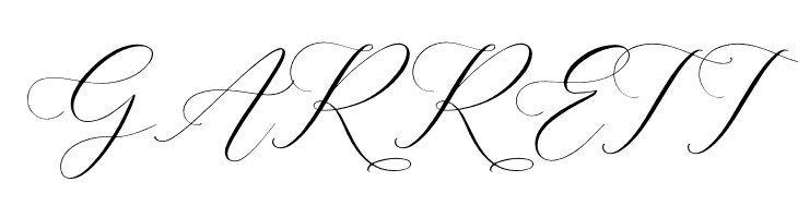 Gashina Lattiva  Free Fonts Download