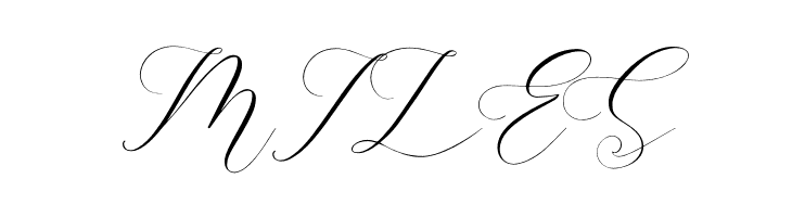 Gashina Lattiva  Free Fonts Download