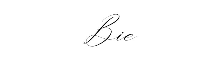 Gashina Lattiva Italic  Free Fonts Download