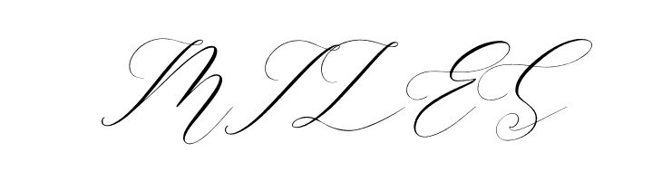Gashina Lattiva Italic  Free Fonts Download