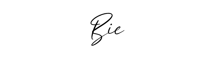 Bullgeria  Free Fonts Download