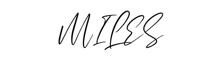 Bullgeria  Free Fonts Download