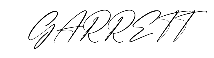 Handmagic Signature Italic  Free Fonts Download