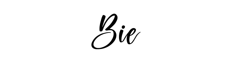 Amigoste Italic  Free Fonts Download