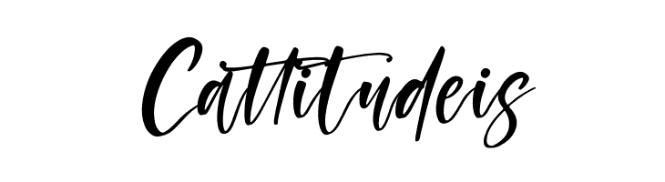 Amigoste Italic  Free Fonts Download