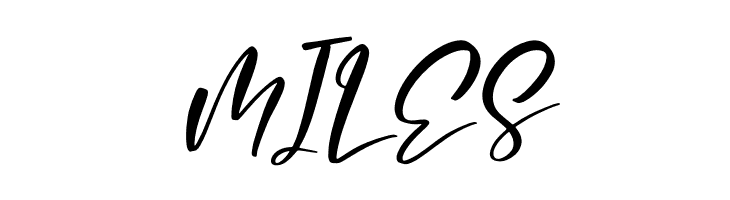 Amigoste Italic  Free Fonts Download