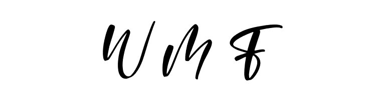 Amigoste Italic  Free Fonts Download