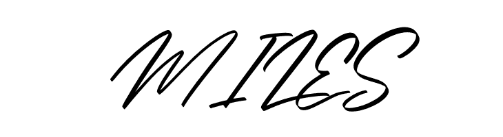 Alishakey Italic  Free Fonts Download