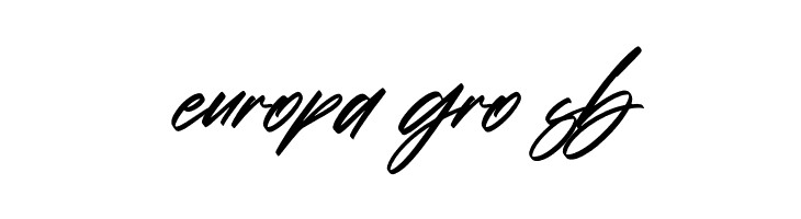 Alishakey Italic  Free Fonts Download