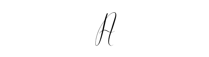 Cattya Brown Italic  Free Fonts Download