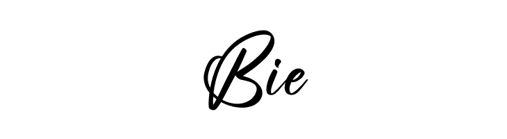 Casttelo Signature  Free Fonts Download