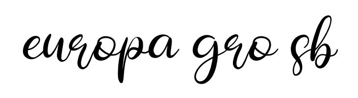 Rallystta  Free Fonts Download