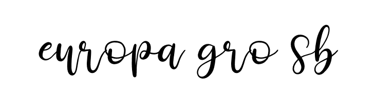 Derlinata Space  Free Fonts Download