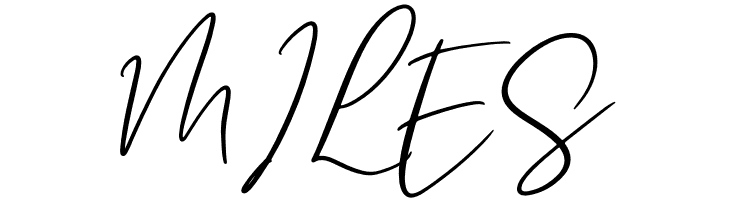 Buffalo City  Free Fonts Download