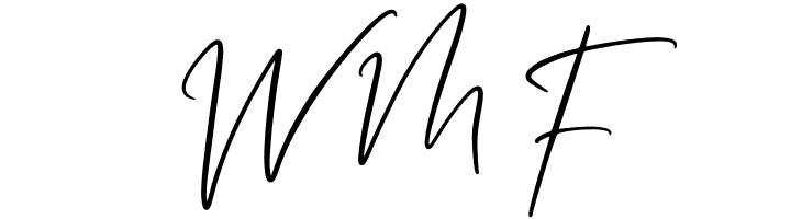 Buffalo City  Free Fonts Download