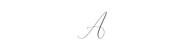 Pattricia Michella  Free Fonts Download