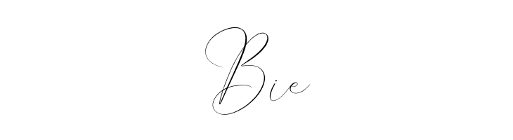 Pattricia Michella  Free Fonts Download