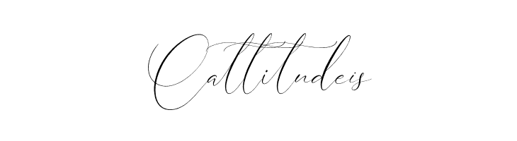 Cristtina Delmonte  Free Fonts Download