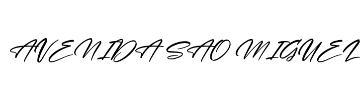 Andalusia Signature Italic  Free Fonts Download