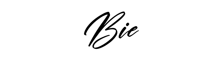 Andalusia Signature Italic  Free Fonts Download