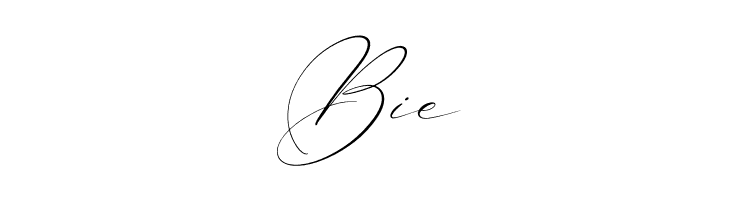 Brittney Style Italic  Free Fonts Download