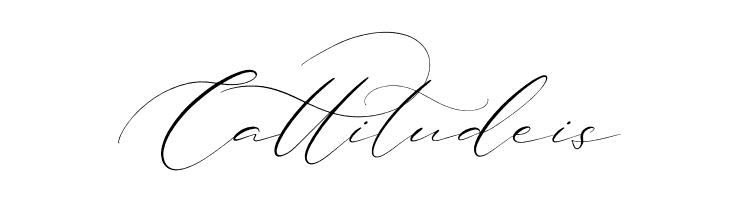 Brittney Style Italic  Free Fonts Download