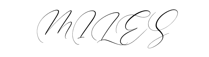 Brittney Style Italic  Free Fonts Download