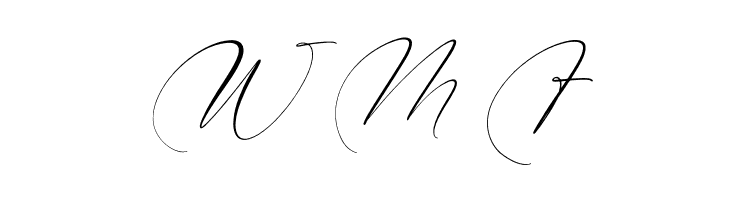 Brittney Style Italic  Free Fonts Download