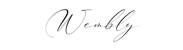 Brittney Style Italic  Free Fonts Download