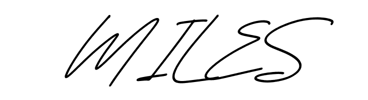 Delmonteria Fidmonte Italic  Free Fonts Download