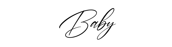 Brotherdam Signature Italic  Free Fonts Download