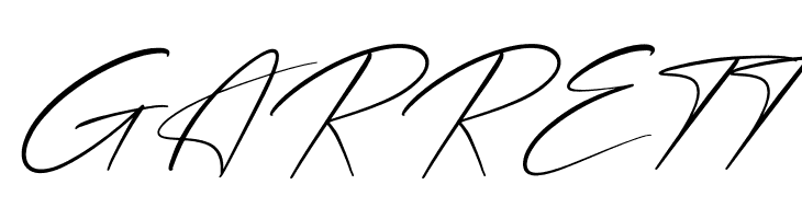 Brotherdam Signature Italic  Free Fonts Download