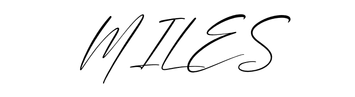 Brotherdam Signature Italic  Free Fonts Download