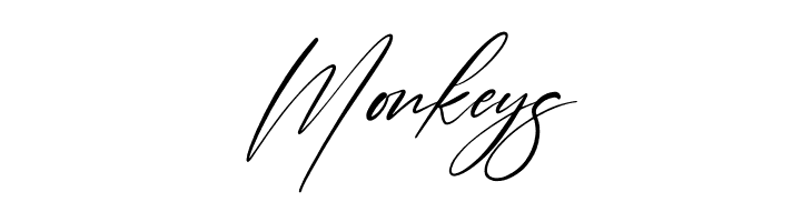 Brotherdam Signature Italic  Free Fonts Download