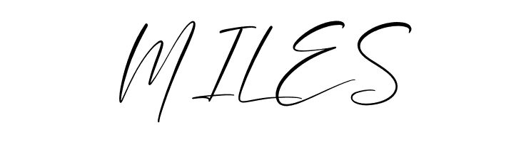 Brotherdam Signature  Free Fonts Download