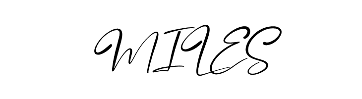 Brandon Smith Italic  Free Fonts Download