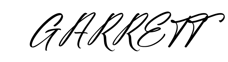 Fighterland Script Italic  Free Fonts Download