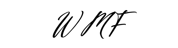 Fighterland Script Italic  Free Fonts Download