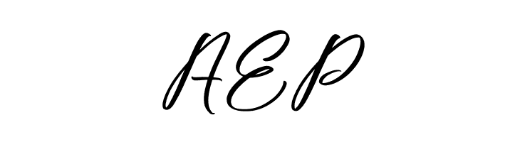 Fighterland Script  Free Fonts Download