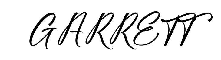 Fighterland Script  Free Fonts Download