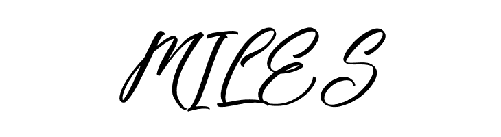 Fighterland Script  Free Fonts Download